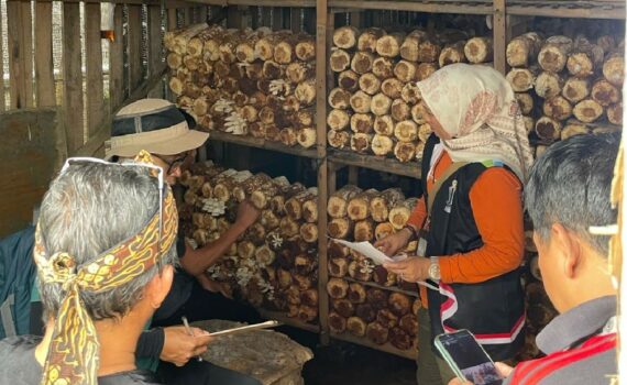 Audit program ketahanan pangan 2025 desa citapen