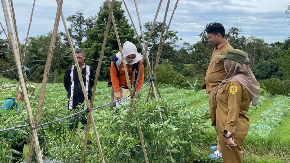 Kelompok tani desa citapen audit 2025