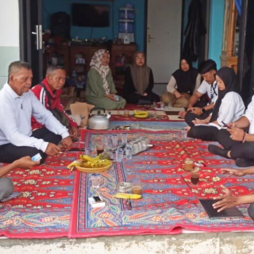 Sosialisasi sicinta desa citapen 1